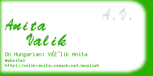 anita valik business card